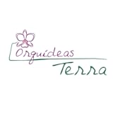  Orquideas Terra