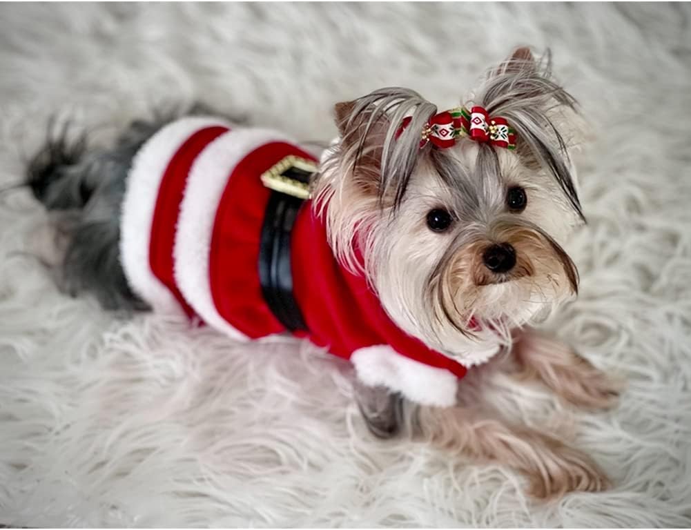 NACOCO Dog Christmas Dresses Cat Xmax Suits Small Pet Haliday Outfits Winter Warm Clothes (Red,XS)