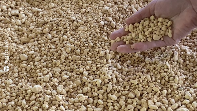 Amazon | プロトリーフ 硬質鹿沼土 5L | 用土
