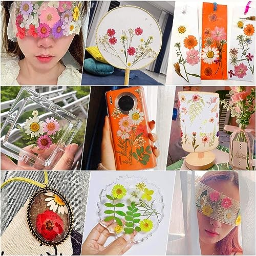 Flores secas coloridas prensadas 42 piezas para manualidades miniatura 7