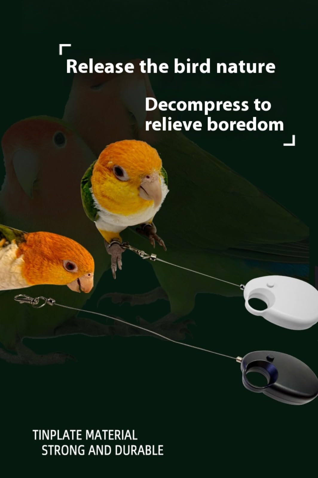 Laisse Rétractable pour Oiseaux, 6mCorde Volante pour Perroquets, Fil d'acier Anti-Morsure,Harnais réglable pour Perroquet,Harnais pour Perroquet Laisse,pour Perruches, Calopsittes, Inséparables, Pins