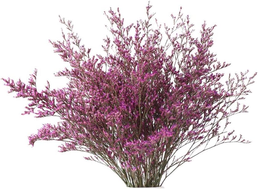 枯れない花 家のホテルのウェディングクリスマスオフィステーブルの装飾のための造花 花 植物の花の植物の花 4年保証 B Color 贈り物