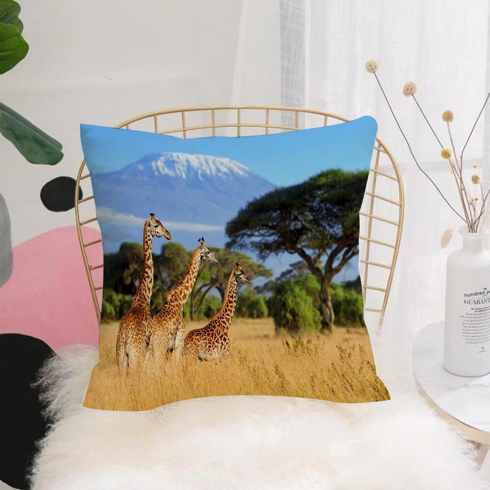 HYOSXW Cushion Cover,Throw Pillow Case Home Decorative for Living Room Bedroom Sofa Chair 16X16 Inch,National Park of Kenya Africa Wildlife Animal Nature Safari Giraffes in the mou,Pillowcase 40X40cm