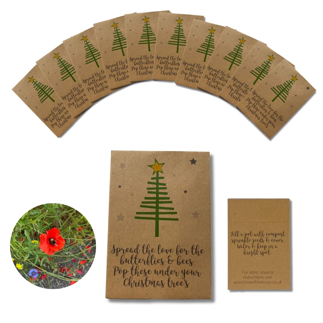 10 X Christmas Wildflower Seed Packets, Table Decoration, Stocking Filler