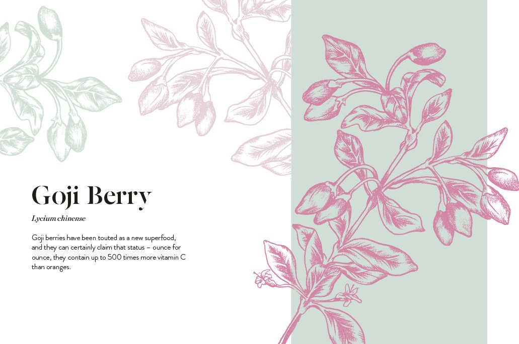 61J36Ft23tL._SL1031_ Adaptogens: Harness the power of superherbs to reduce stress & restore calm