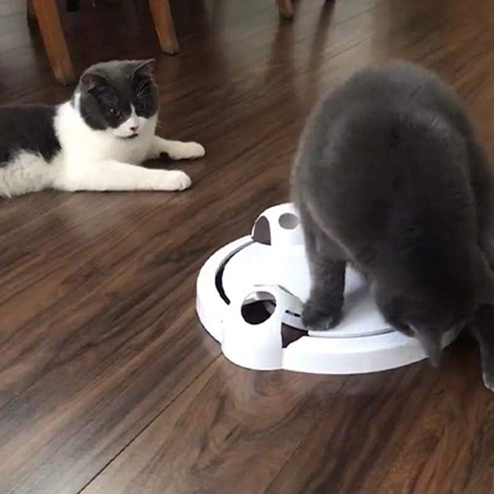 Juguete electrónico para Gatos, Interactivo, atrapa el ratón, ratón, Cola de Gato, Juguete para Interiores con ratón Giratorio para Gatos, Gatitos, Entrenamiento, Caza, Ejercicio