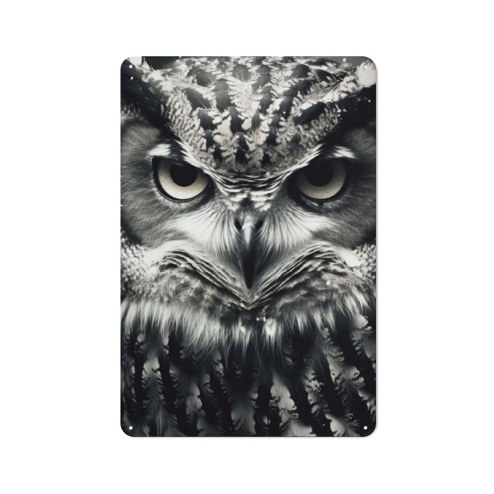 Junmoney Owl Animals Printed Metal Sign 30X20cm For Studio Or Craft Room, For Creative-Space Collectors