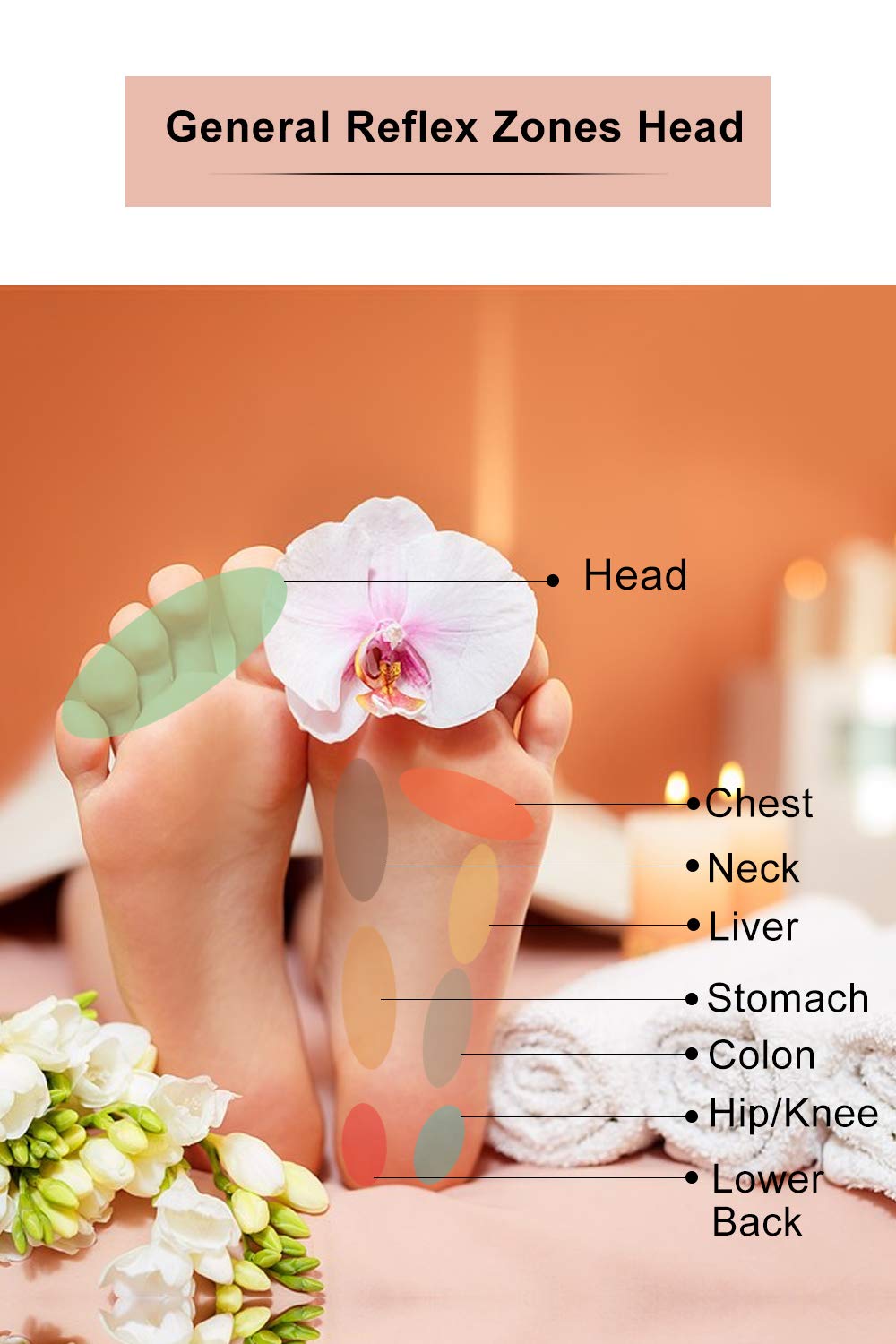 Ginger Foot Pads (40Packs), Ginger Pads for Better Sleep, 2 in 1