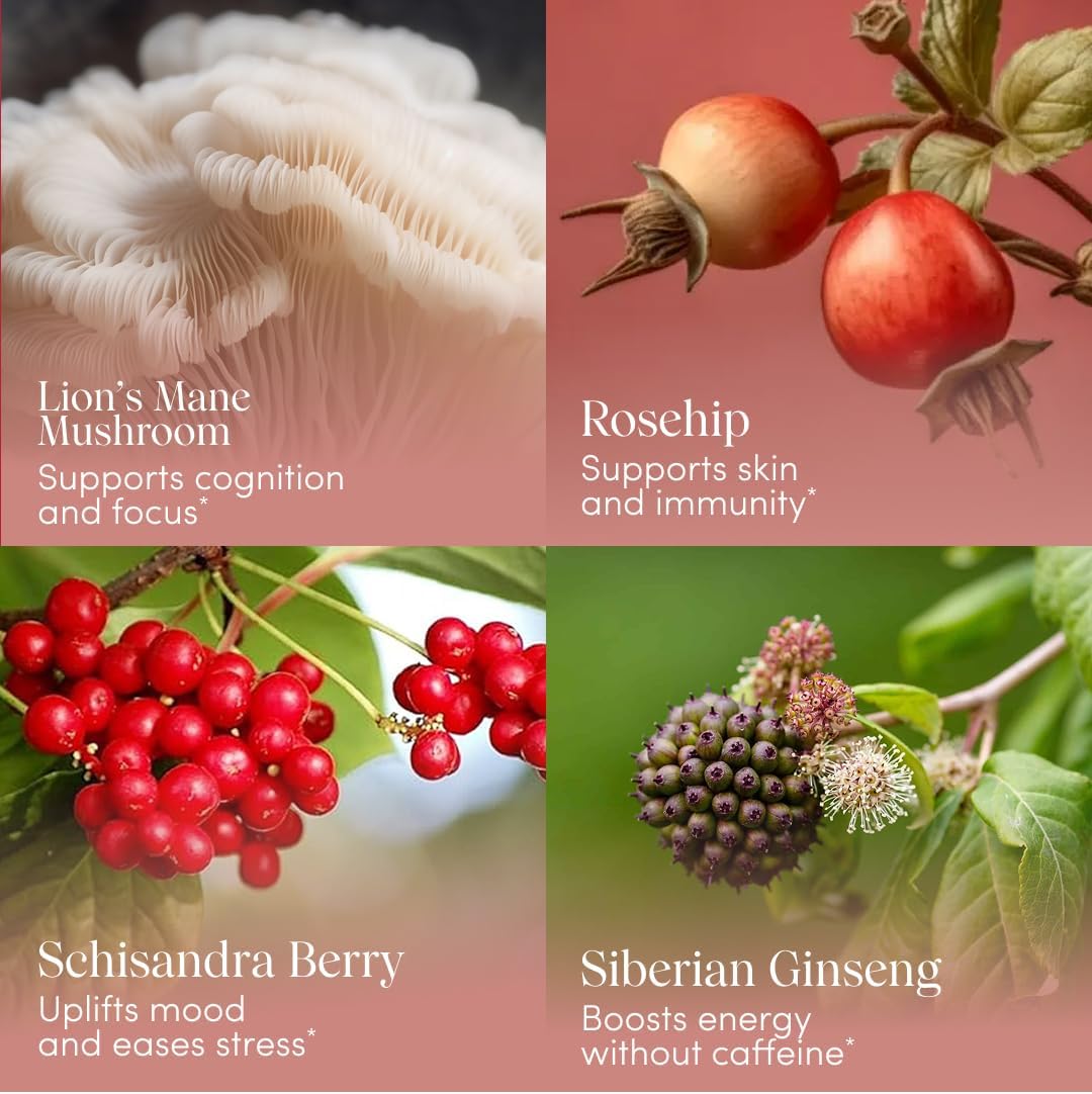 61J3L7TpnIL._AC_SL1096_ Apothékary Rosé-Tinted Glasses, Supports a Balanced Mood & Focus, Alcohol-Free, Wine-Inspired Herbal Liquid Drops with Schisandra Berry & Lion's Mane Mushroom, Certified Organic, 1 fl oz, 30 Servings