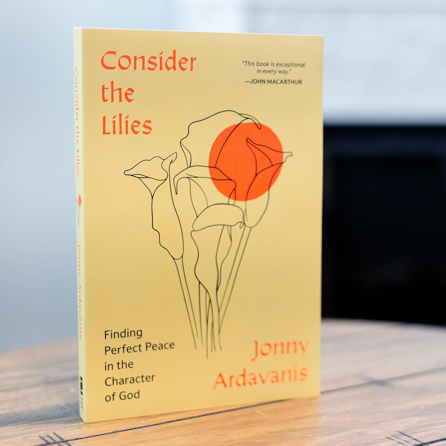 Consider the Lilies: Finding Perfect Peace in the Character of God - Image 7