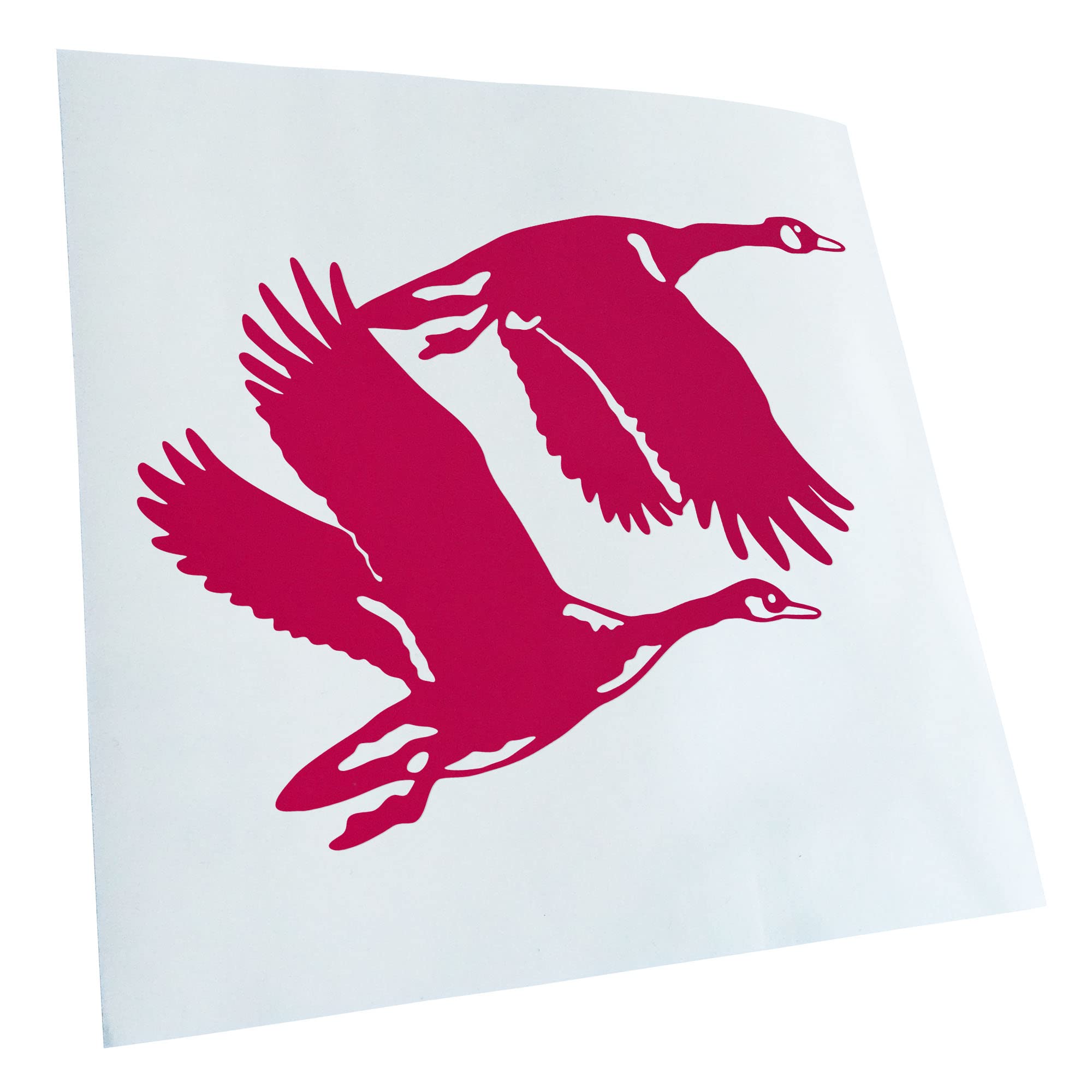 Kiwistar - Car Sticker - Pink - 13 x 10 cm Ducks - Ducks - Duck - Rear Window Car Sticker Weatherproof for Car Truck Moped Truck - Sticker Exterior Self-Adhesive Tuning Accessories for Window Vehicle