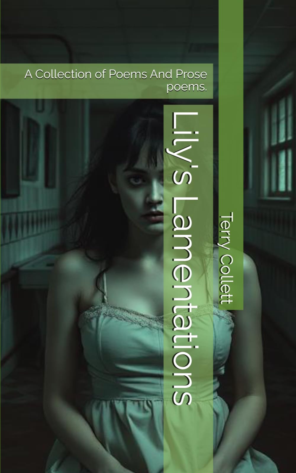 Lily's Lamentations: A Collection of Poems And Prose poems.