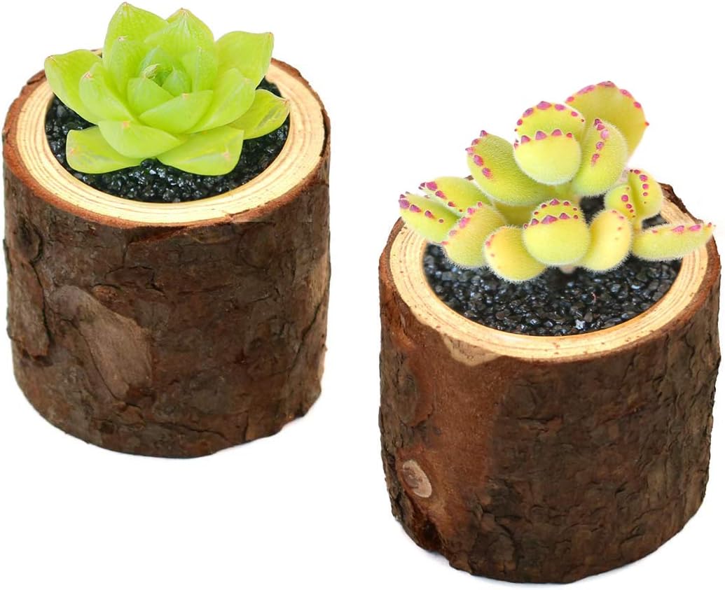 Wooden Tea Light Candle Holders, Rustic Natural Wood Votive Tealight Holder for Wedding Party Birthday Holiday, Set of 2 (2"x2")