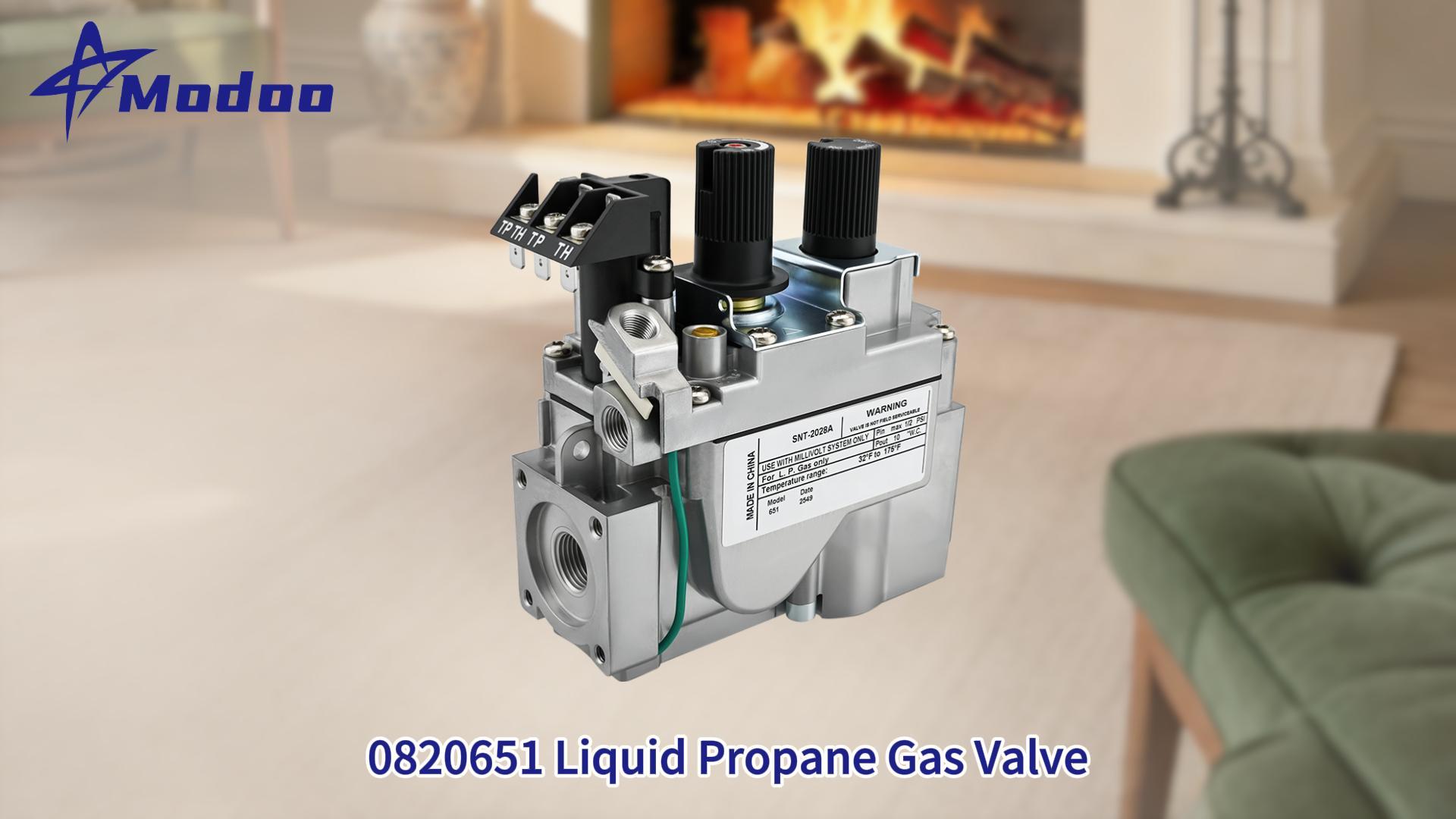Amazon.com: 0820651 Propane Gas Fireplace Valve Replacement