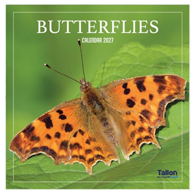 2027 Hanging Wall Calendar Bees & Butterflies Beautiful Family Planner Large Month To View Square Organiser (Butterflies 2027)