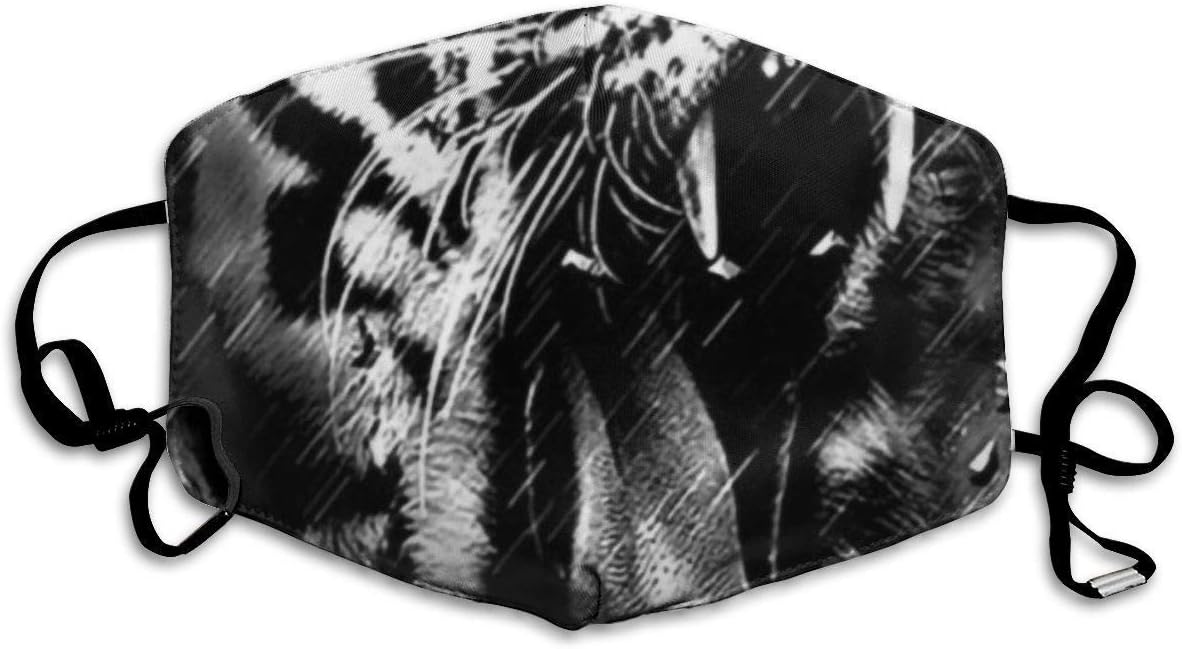 Zcfhike Anti Pollution Dust Masks Reusable,Fashion Cotton Face Mouth Mask for Women Men Kids - Roaring Tiger