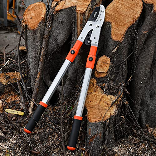 Ébrancheur extensible Thanos pour tailler les branches hautes sans échelle - 7