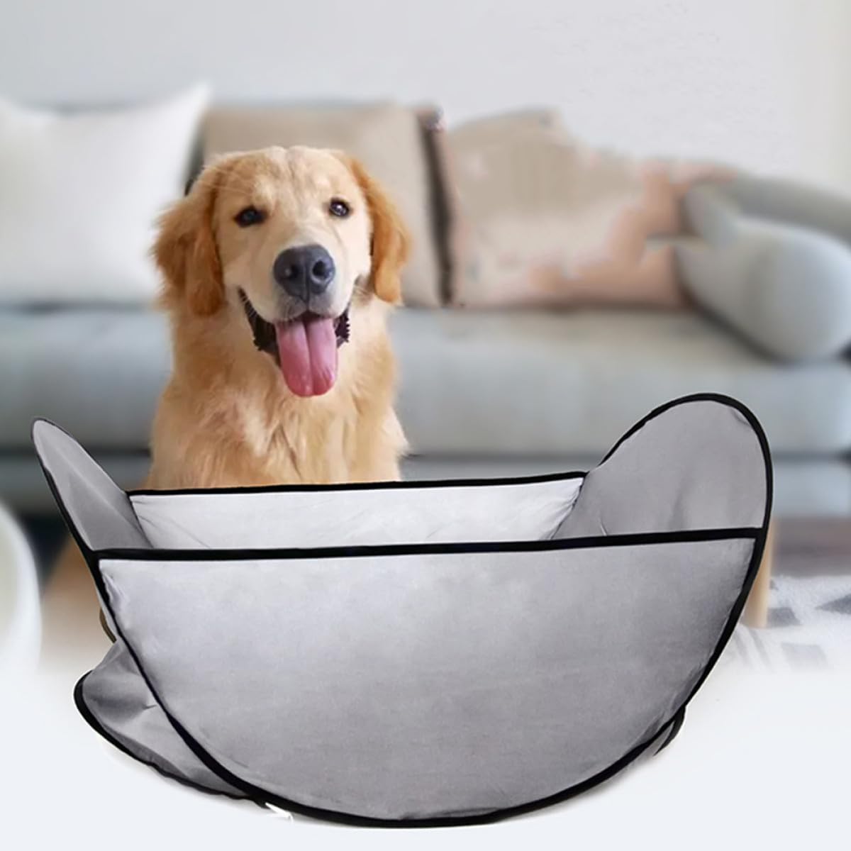 View 4