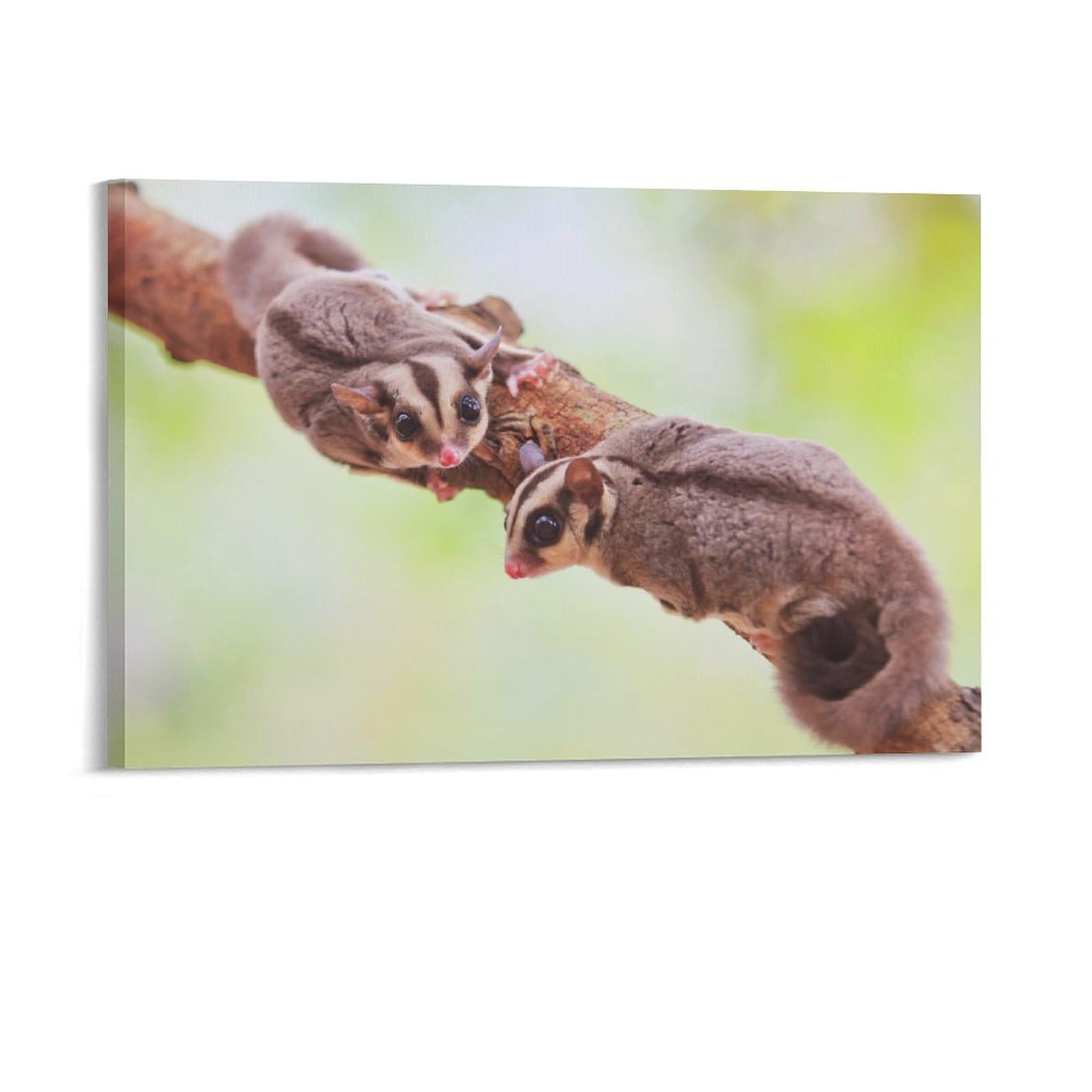 Two Baby Sugar Glider Lonely Room Aesthetics Posters Canvas Posters Bedroom Decoration Sports Office Decoration Gifts Wall Art Decoration Printing Posters 08x12inch(20x30cm)