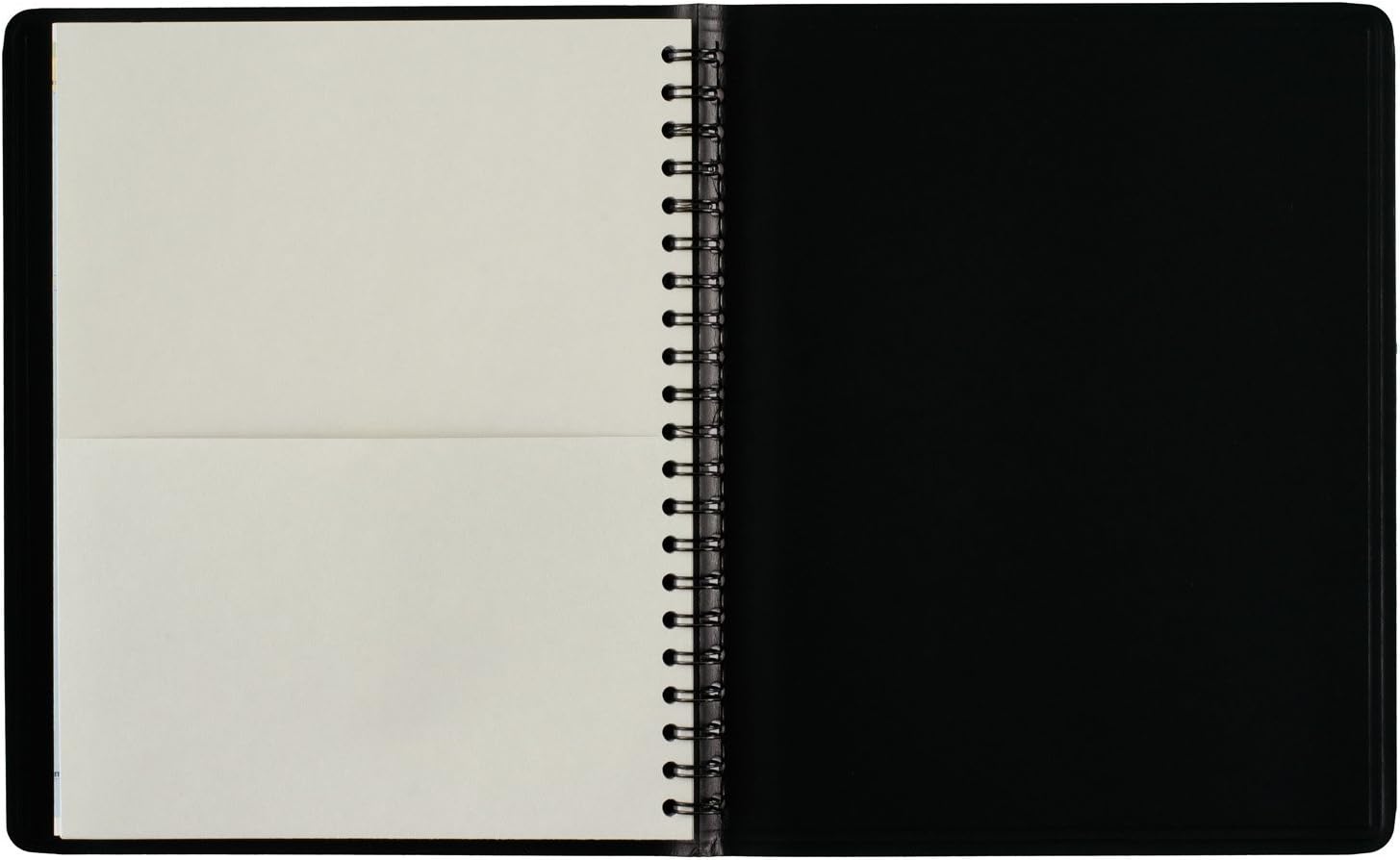 AT-A-GLANCE Daily Appointment Book / Planner 2017, The Action Planner, 8-1/2 x 10-7/8", Black (70-EP01-05)