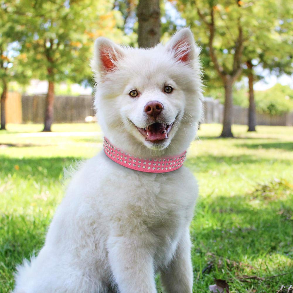 1PC Collare Imbottito Regolabile Per Cani Marrone Militare, XL (51-65 - Foto 4