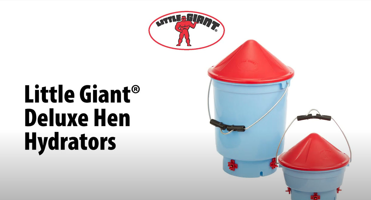 Amazon.com: Little Giant® Deluxe Hen Hydrator | Chicken Waterer