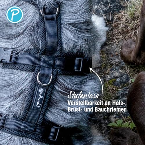 Petlando Sicherheitsgeschirr, ausbruchsicheres Hundegeschirr mit extra Bauchgurt, weich gepolstert mit Mesh, atmungsaktiv, robust, stufenlos verstellbar, Geschirr für kleine Hunde, Petrol, S
