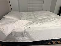 Review Image by anon anon