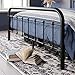 WEEWAY Queen Size Metal Bed Frame with Wrought Iron-Art Curved Headboard, Victorian Vintage Style Platform Bed, No Box Spring Required, Black