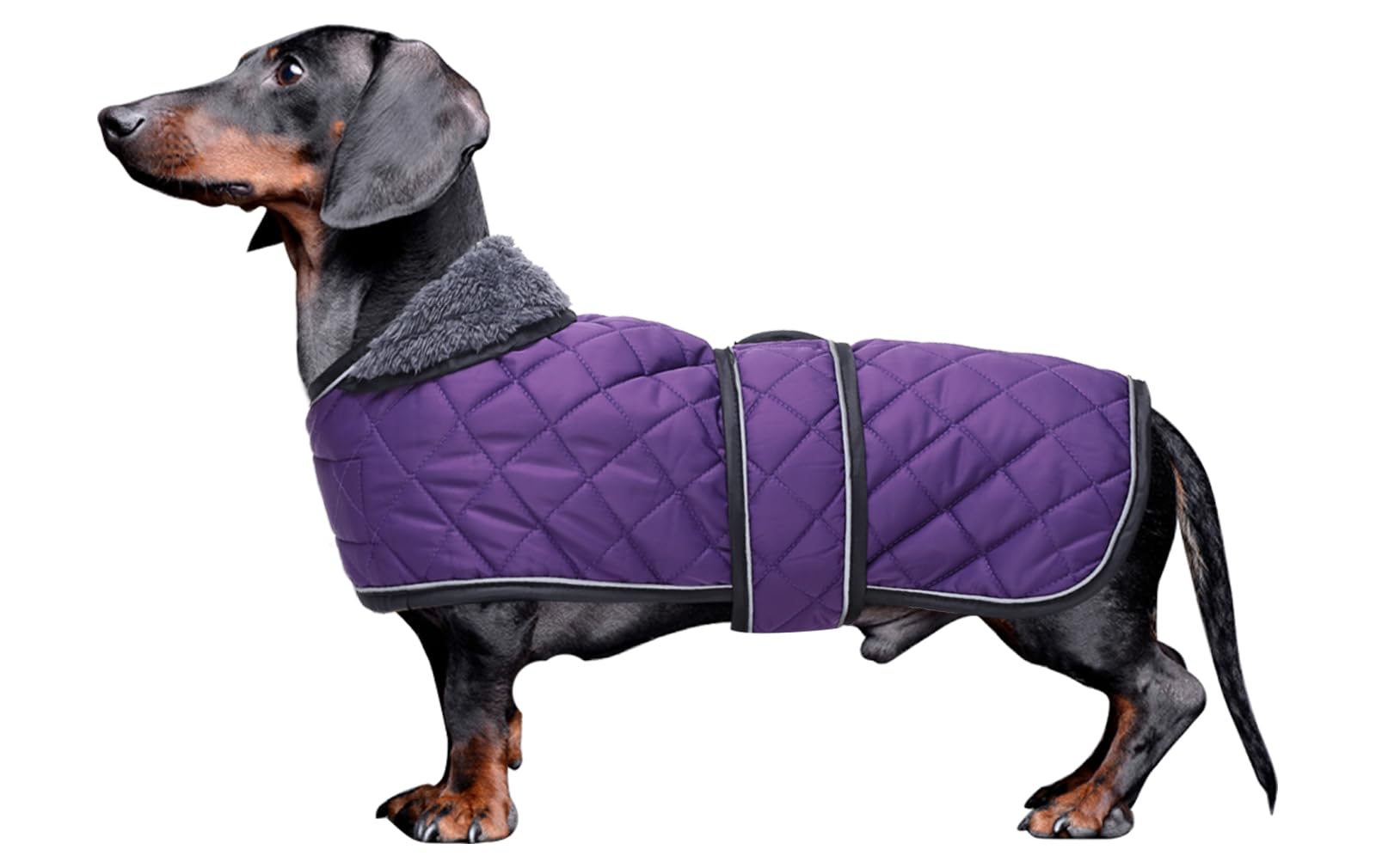 Morezi Dachshund coat dog coats for dachshunds dachshund winter jacket with padded fleece outdoor dog clothes with adjustable bands