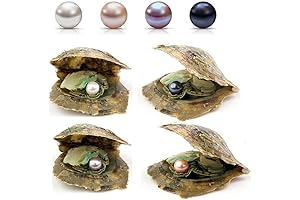 POSHOPS 50PC Akoya Oysters with Pearls Inside Wholesale