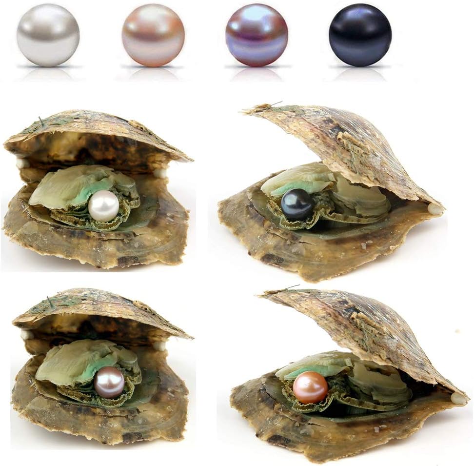 50PC Oysters with Pearls Inside Wholesale Round Pearl Freshwater Pearl Oyster Oysters Bulk for Christmas Party