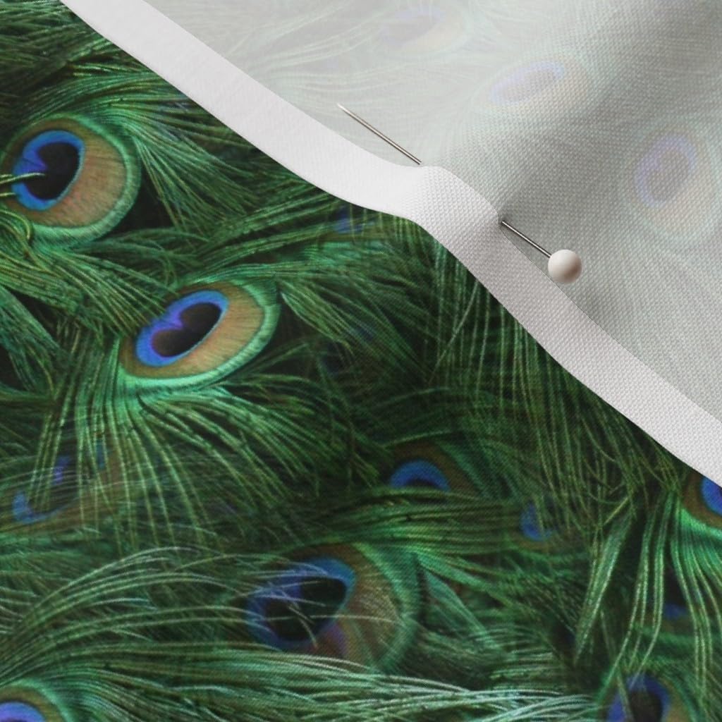 Spoonflower Fabric - Tale Peacock Tail Small Feather Trendy Nature Bird Photo Printed on Petal Signature Cotton Fabric by The Yard - Sewing Quilting Apparel Crafts Decor