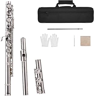 Western Concert Flute Silver Plated 16 Holes C Key Cupronickel Woodwind Instrument With flute instrument