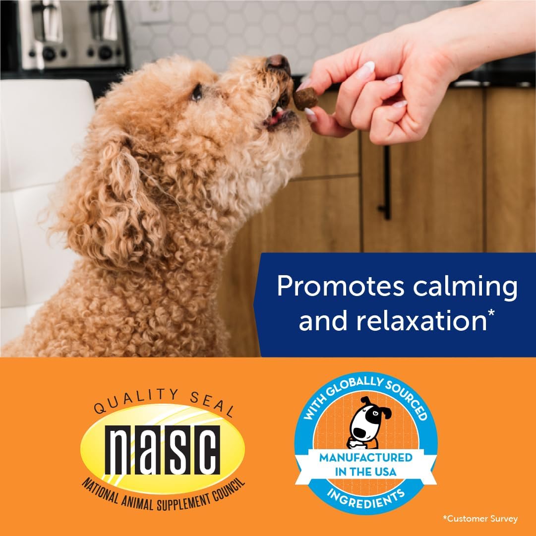 ThunderBites Hemp Calming Chews For Dogs, Everyday Use Can Help Relieve Stress from Separation, Storms, Fireworks & Travel (180 Count), Formerly ThunderWunders