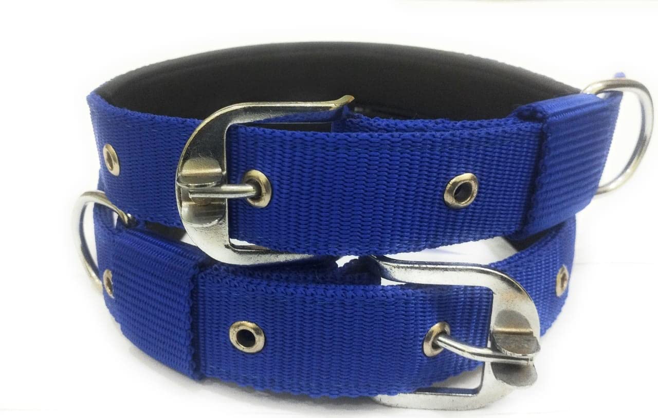 JAPIN Neck Collar Belts for Dog Comfortable Everyday 1.25 inch Collar Belt for Dog 2 Piece (Blue) (B0BYSXMC4V) Amazon Price History, Amazon Price Tracker