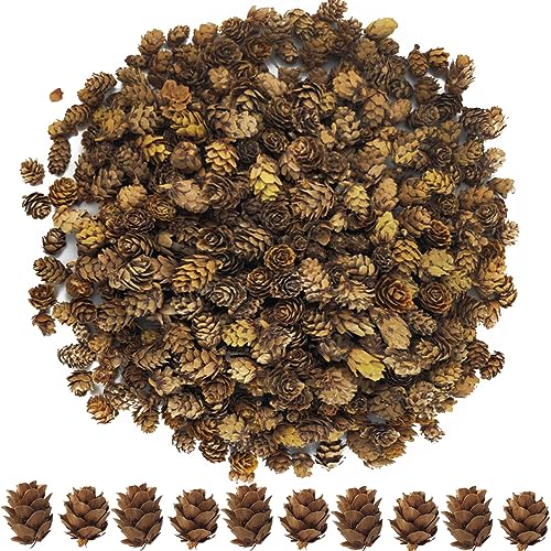 TIHOOD 320PCS 1.18-1.97 Natural Mini Pine Cones in Bulk for DIY Crafts Home Decoration Fall and Christmas Wedding Decor