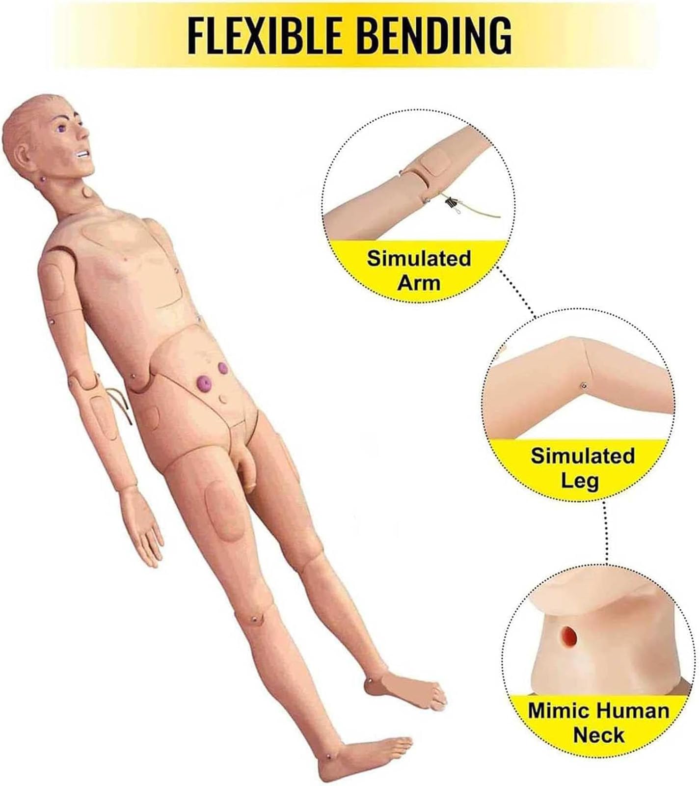 Générique Mannequin de formation en soins infirmiers Mannequin médical de formation PVC Corps entier Démonstration Mannequin humain Taille réelle 170 cm Modèle éducatif