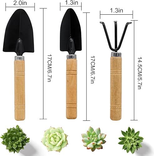 Miniatura 2 de 3 mini herramientas de jardinería, herramientas de mano portátiles de alta calidad pequeñas con asas antideslizantes, juego de pala y rastrillo para