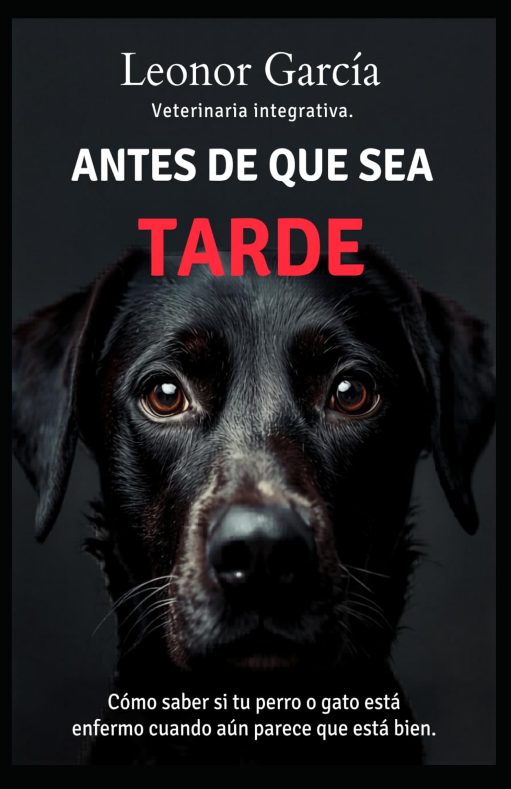Antes de que sea tarde