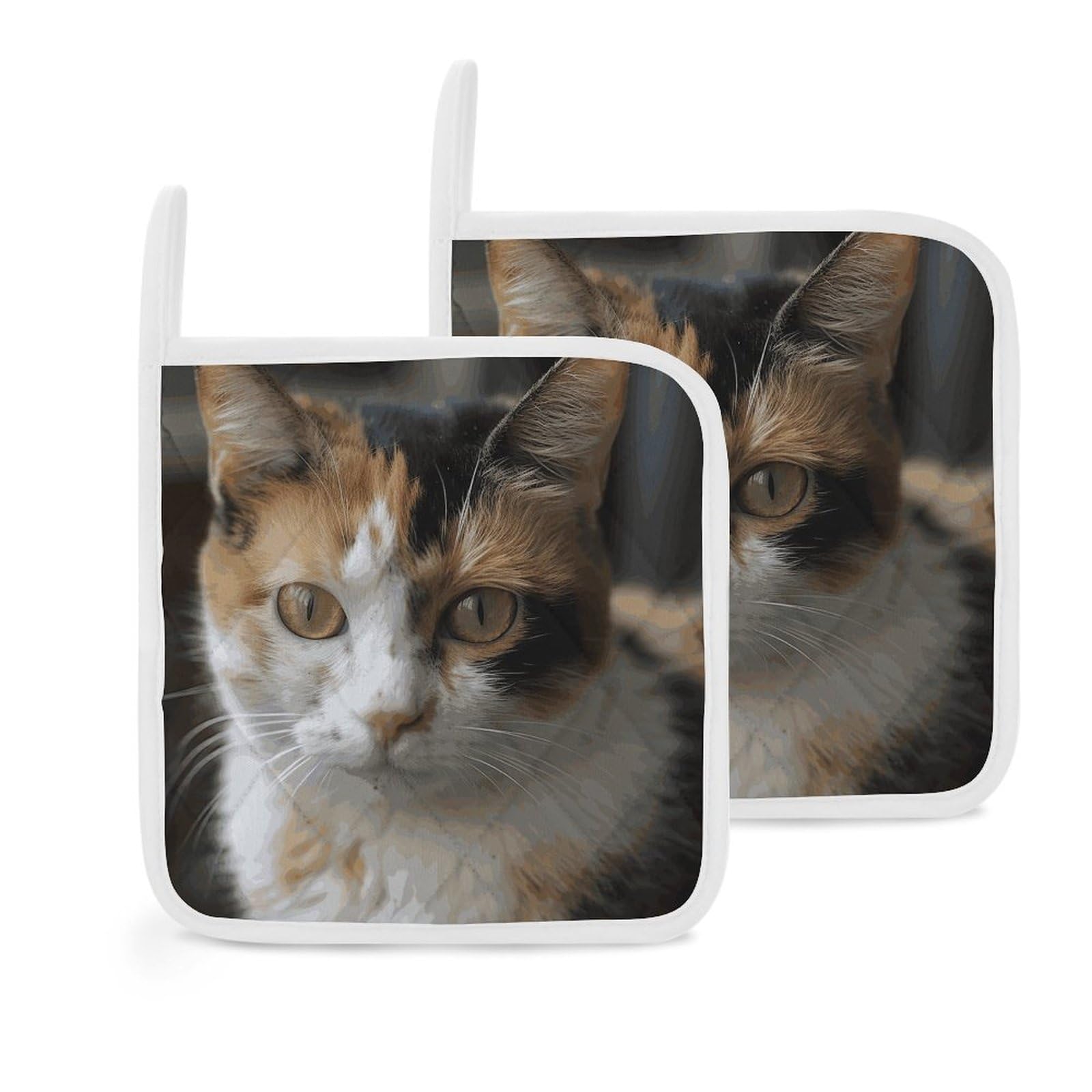 Btcowzrv Style A Cat 2 Pack Pot Holders For Kitchen, Heat Resistant Potholder Set With Hanging Loops, Hot Pads For Oven Baking Cooking