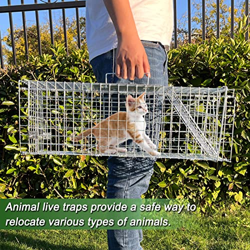 Ansgery Armadilha de Gaiola para Animais Vivos, Armadilha para Animais de 24 X 7 X 8