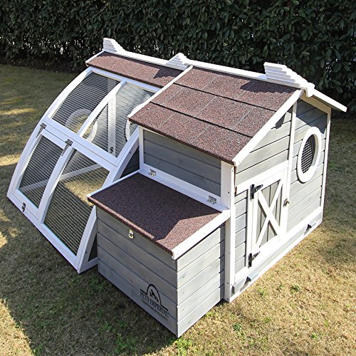 Pets Imperial® Ritz Hühnerstall - Grau - Arche Hühnerstall mit integriertem Auslauf - Hühnerstall - 165 cm (B) x 170 cm… – Bild 5