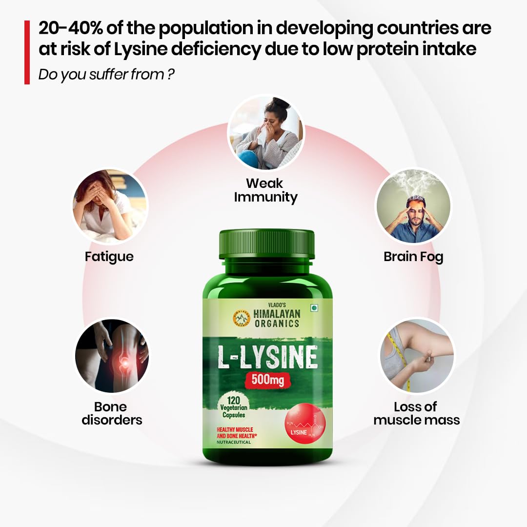 Vlado’s Himalayan Organics L-Lysine 500mg Essential Amino Acid Supplement For Men And Women | Supports Membrane Health | Support Immune System | Endurance Improvement & Weight Loss - 120 Veg Capsules 4