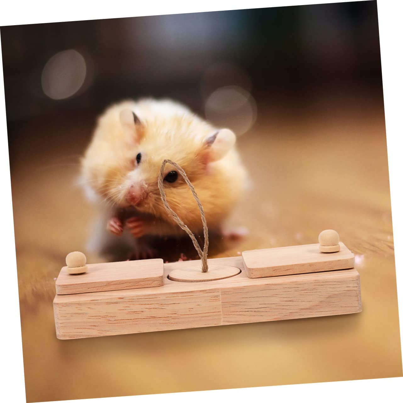 Hamster Spielzeug für Beschäftigung und Bewegung