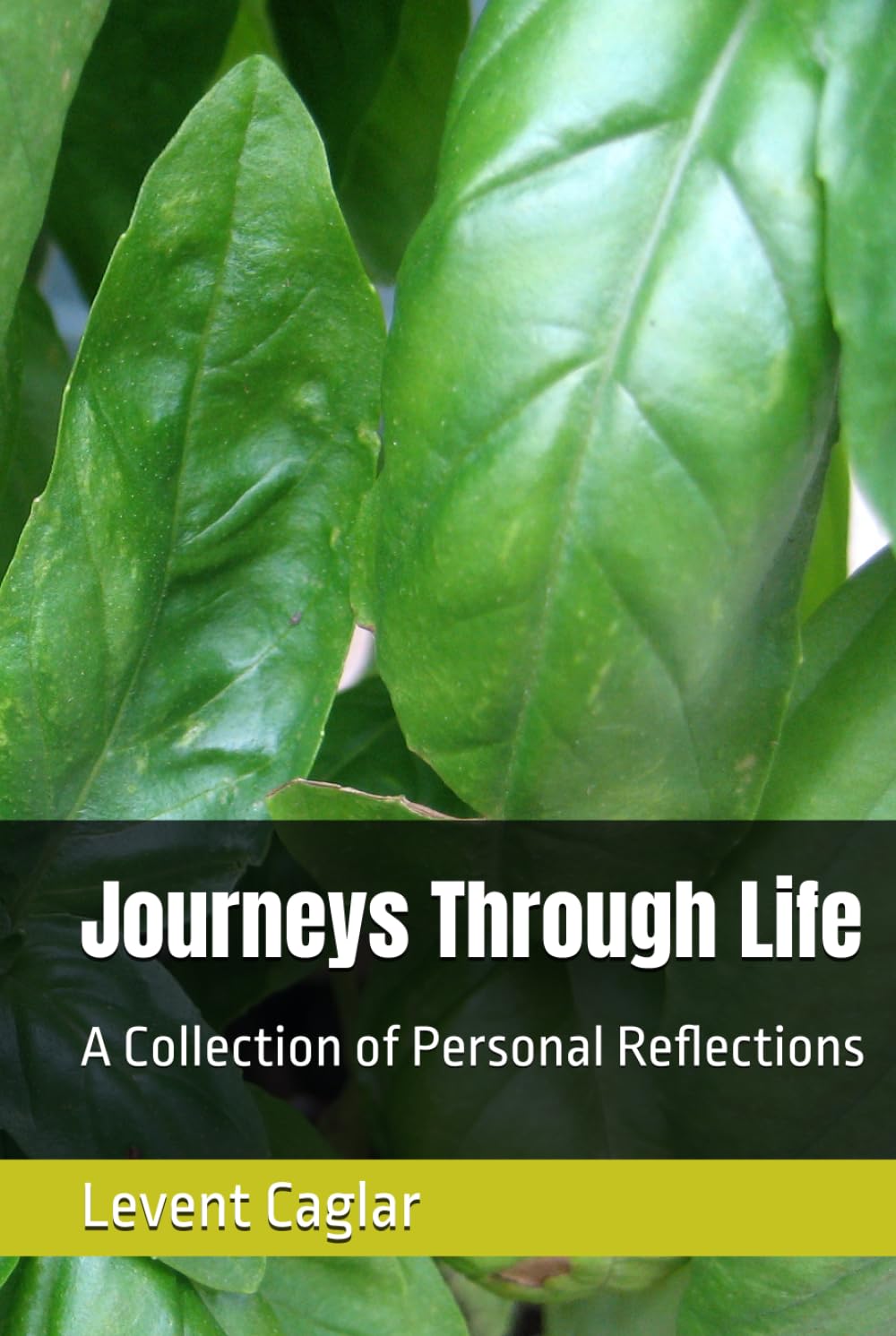 Journeys Through Life: A Collection of Personal Reflections