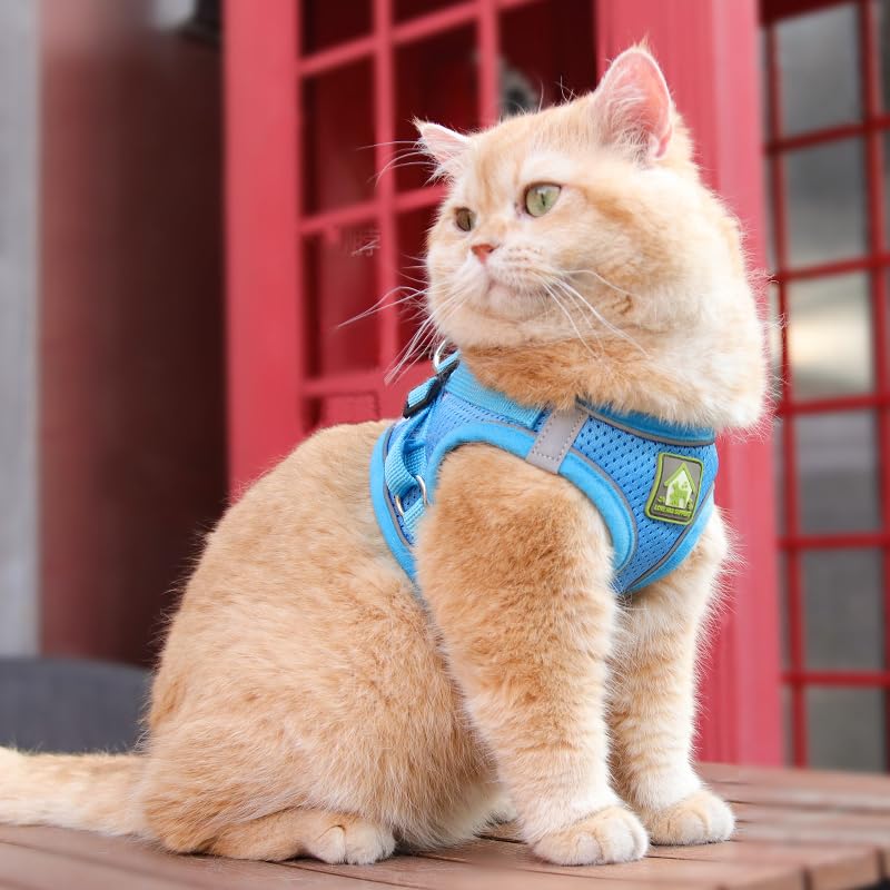 Escape Proof Vest Harness Leash Set Adjustable Reflective NeuWee Cat ...