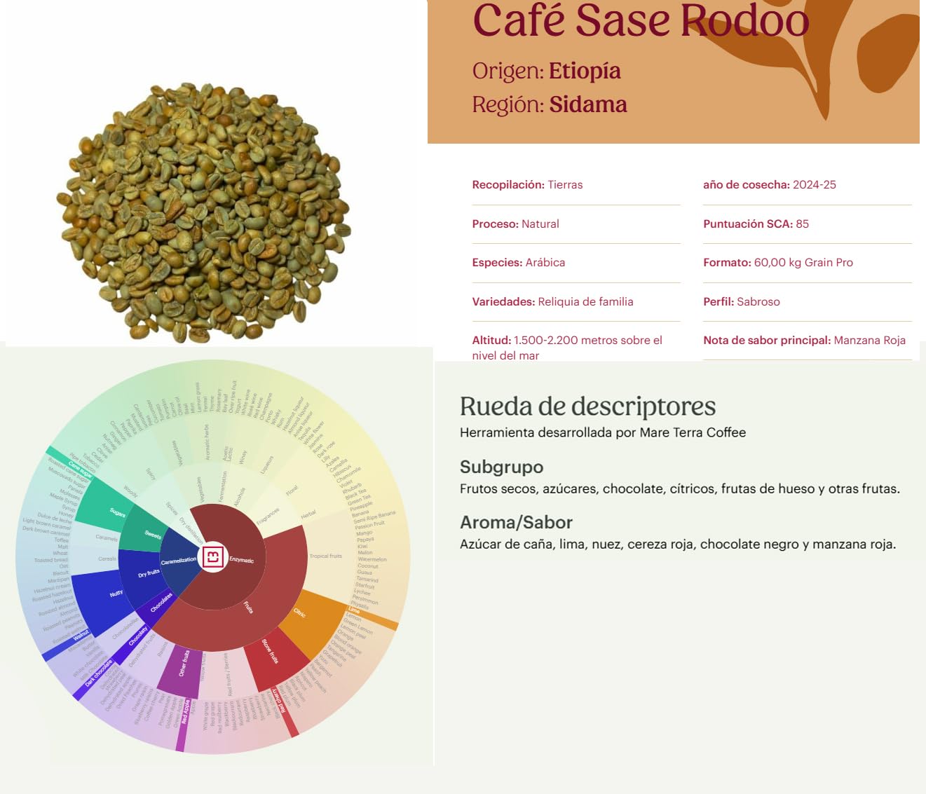 Quality Roasters Coffees. Café en grains torréfié de spécialité. Origine unique Ethiopie Sidamo. Processus : Lavé. Torréfié moyenne. Torréfaction artisanale. (4 Kg)