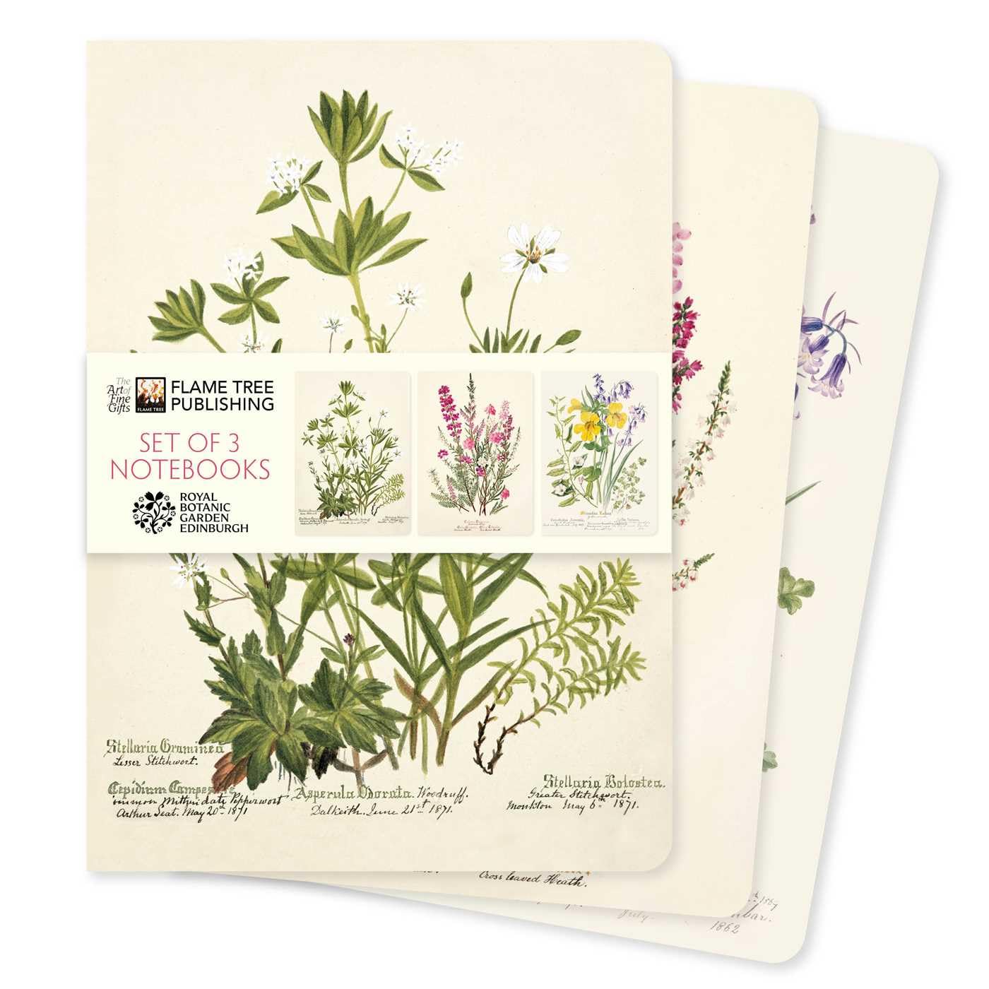 Royal Botanic Gardens Edinburgh Set of 3 Standard Notebooks (Standard Notebook Collection)