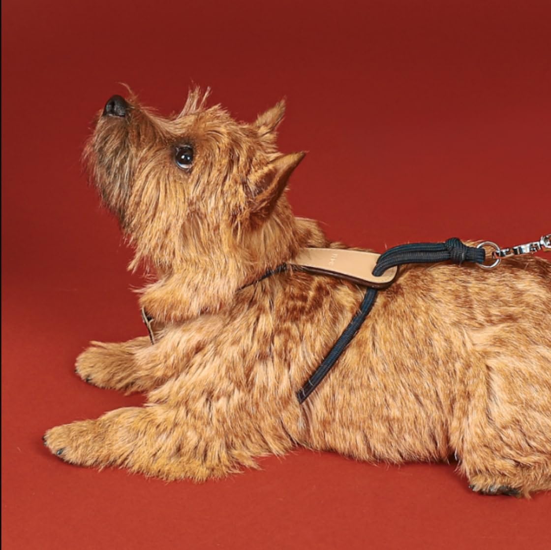 Amazon | エッセンシャルハーネス【HOZI】ドッグハーネス 犬 ペット